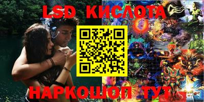 крисы Кунгур