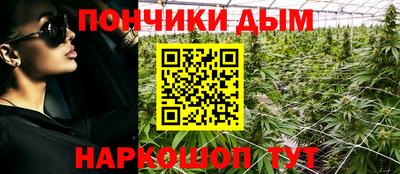 крисы Кунгур